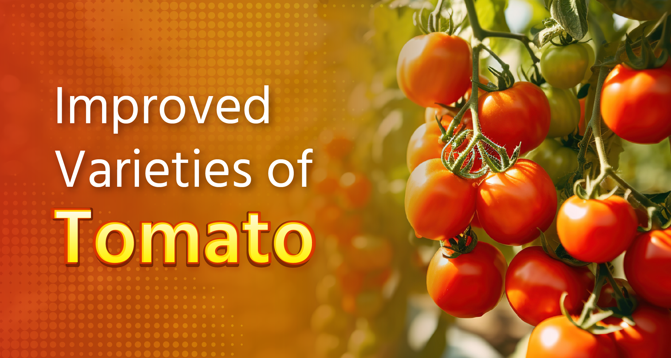 Benefits of Cherry Tomato